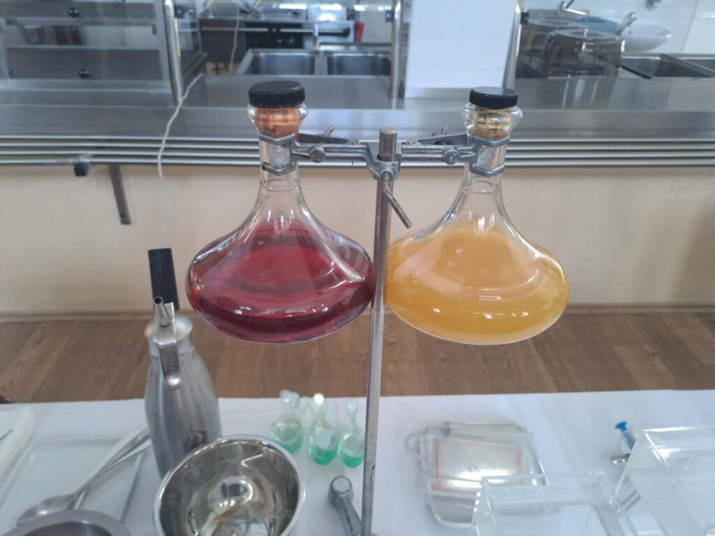 Molekulární gastronomie a progresivní mixologie
