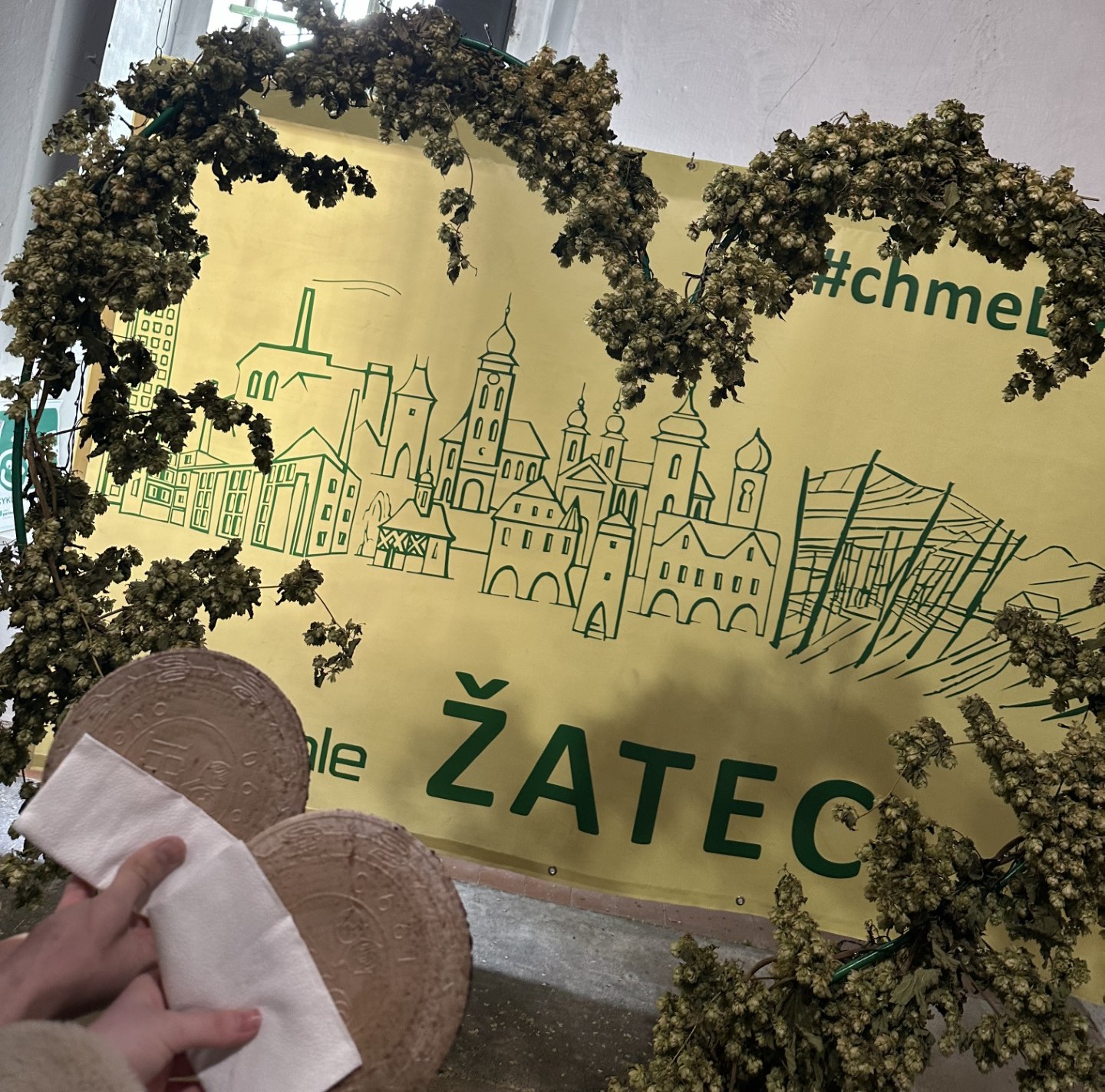 Projektový den v Žatci